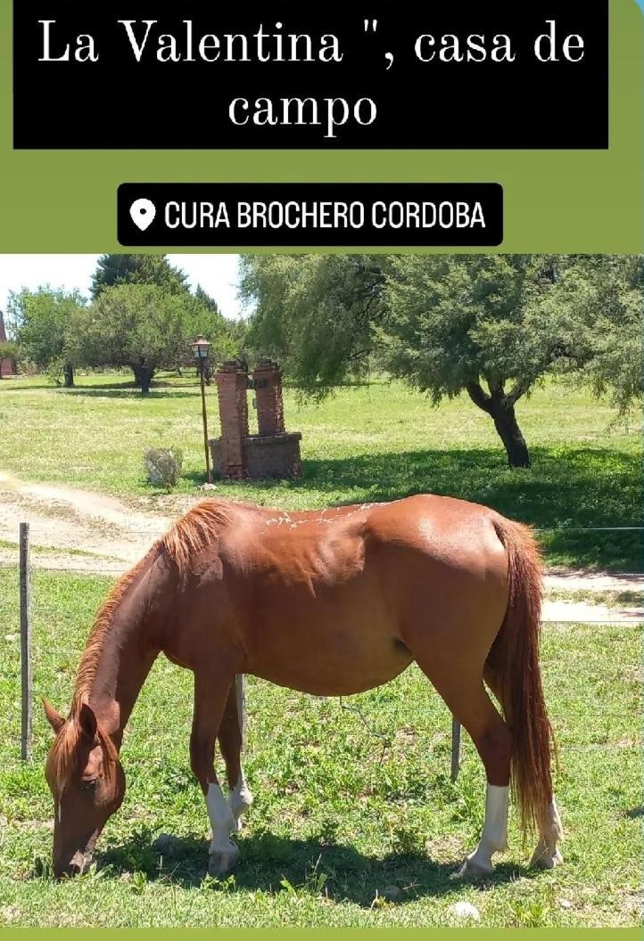 La Valentina Casa De Campo Villa Cura Brochero Exteriér fotografie